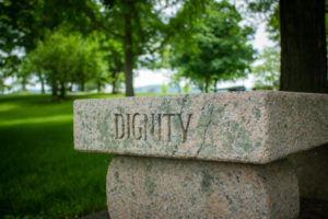 A stone has the word dignity written on it in a field. Used to highlight dignity of risk in given situations.