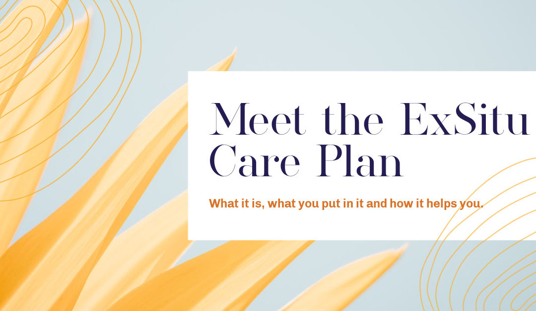 What do you put in an ExSitu care plan?
