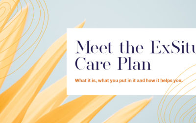 What do you put in an ExSitu care plan?